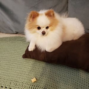 Meet your Posher, Angela